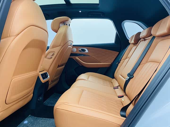 Hozon L 2024 2024款 增程 220 闪充版