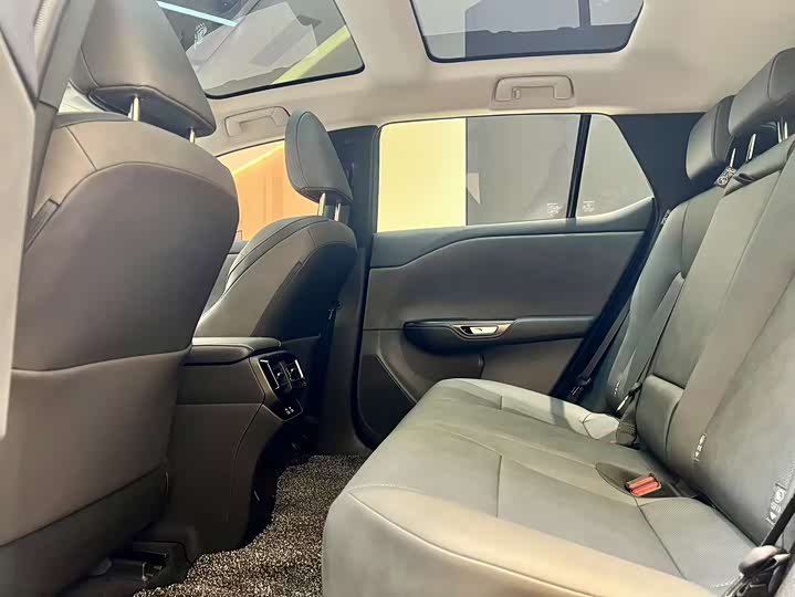 Lexus RZ 2023 2023款 450e 四驱纵享版