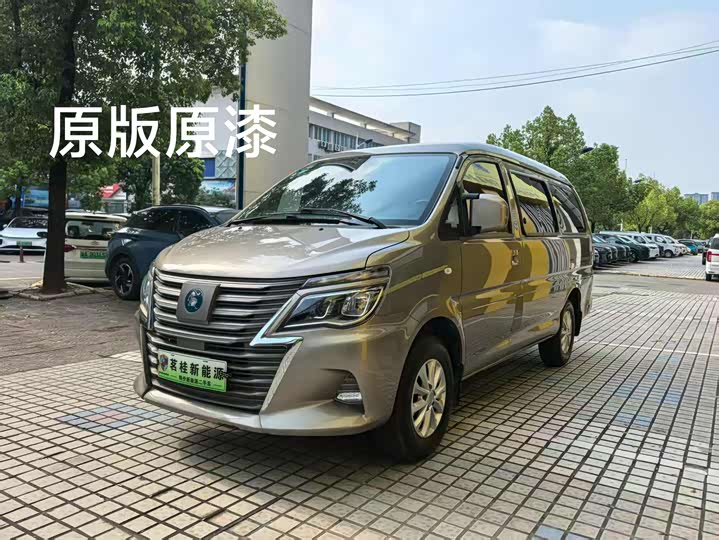 Dongfeng Forthing Lingzhi M5 EV 2022 2022款 普通版 基本型 7座