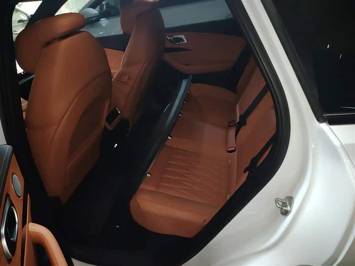 Hozon L 2024 2024款 增程 220 闪充版