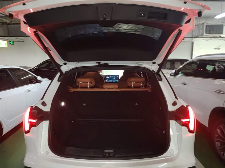 Hozon L 2024 2024款 增程 220 闪充版