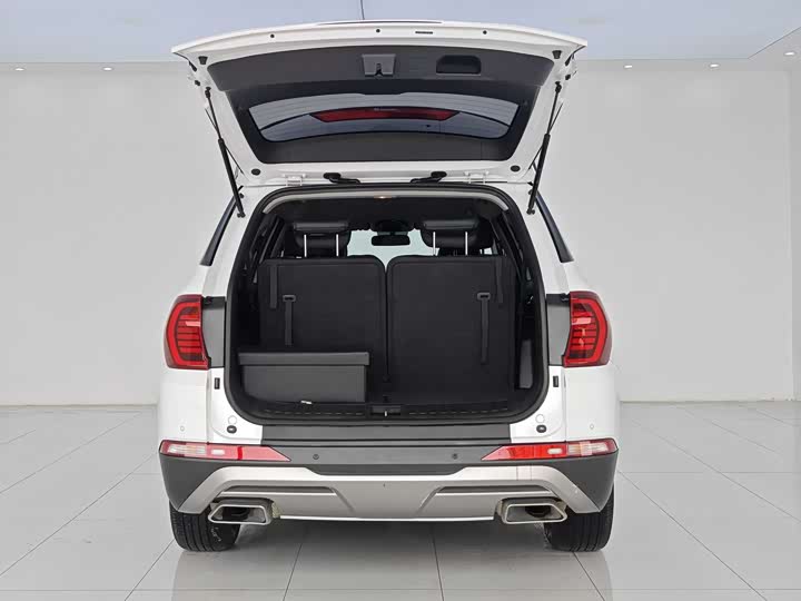 Hyundai Santa Fe 2020 2020款 380 TGDi 自动两驱GL精英版