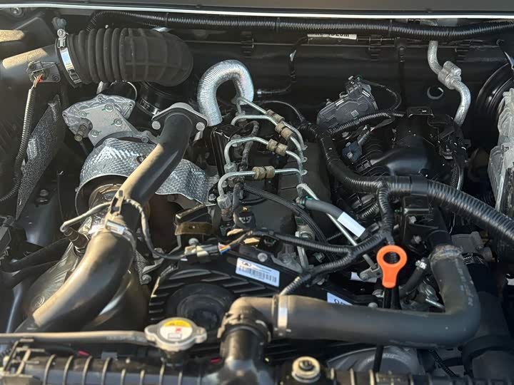 Great Wall Wingle 5 2021 2021款 2.0T柴油两驱精英型大双排国VI GW4D20M