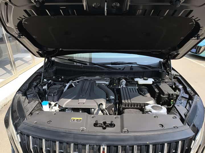 Hongqi HS7 Hybrid 2024 2024款 2.0T PHEV 四驱旗畅版 6座