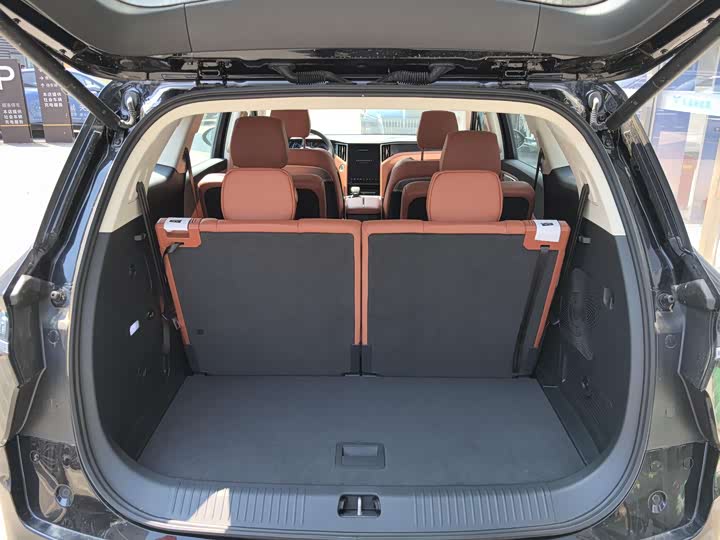 Hongqi HS7 Hybrid 2024 2024款 2.0T PHEV 四驱旗畅版 6座