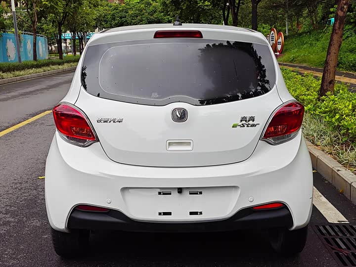 Changan BenBen E-Star 2022 2022款 国民版 多彩限量款（快充版）三元锂