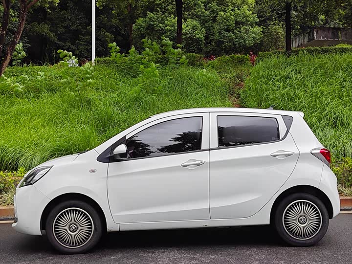 Changan BenBen E-Star 2022 2022款 国民版 多彩限量款（快充版）三元锂