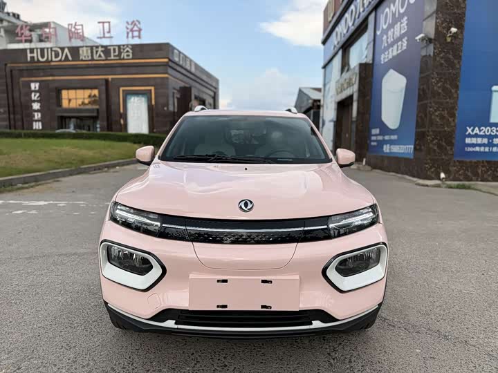 Dongfeng Nammi Nano EX1 2022 2022款 轻风版 201KM 标准型