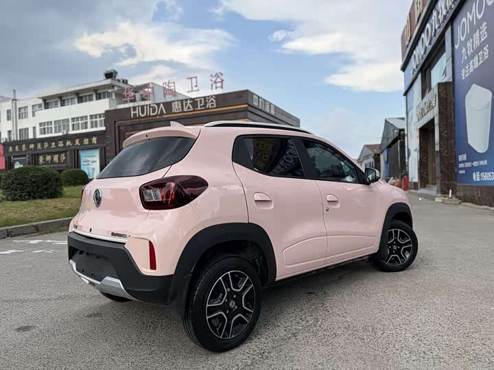 Dongfeng Nammi Nano EX1 2022 2022款 轻风版 201KM 标准型