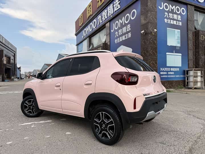 Dongfeng Nammi Nano EX1 2022 2022款 轻风版 201KM 标准型