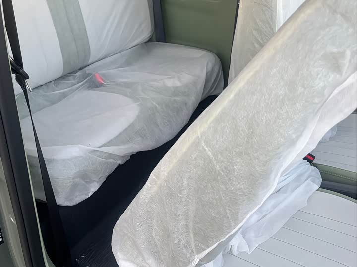 Geely Galaxy Panda Mini 2025 2025款 210km 熊猫骑士