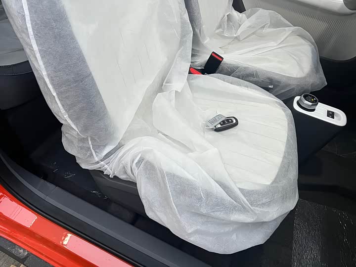 Geely Galaxy Panda Mini 2025 2025款 210km 熊猫骑士