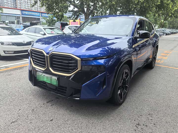 BMW XM 2023 2023款 基本型