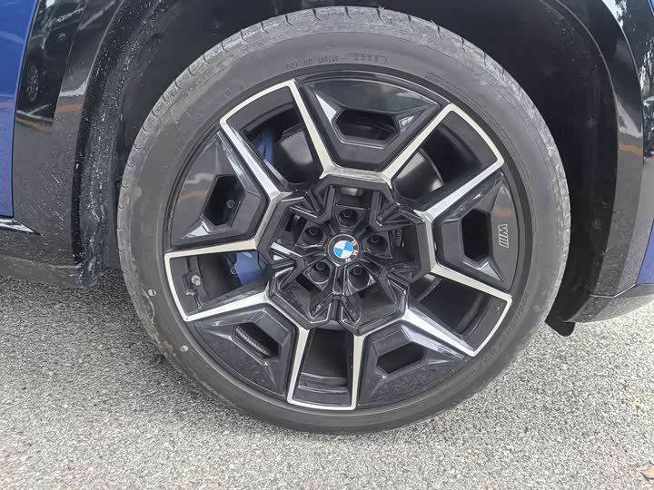 BMW XM 2023 2023款 基本型