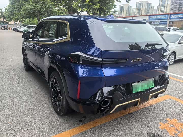 BMW XM 2023 2023款 基本型