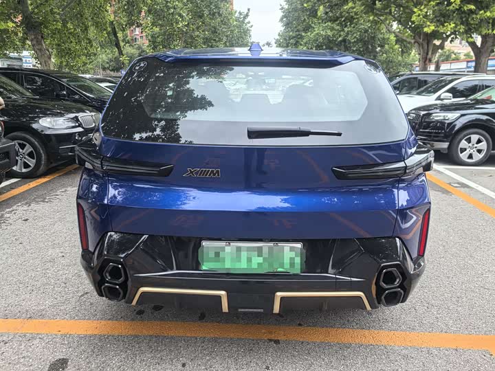 BMW XM 2023 2023款 基本型