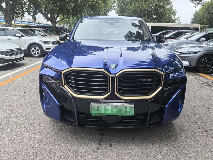 BMW XM 2023 2023款 基本型