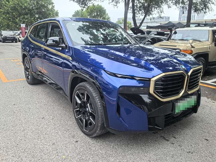 BMW XM 2023 2023款 基本型