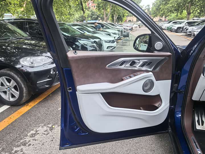 BMW XM 2023 2023款 基本型