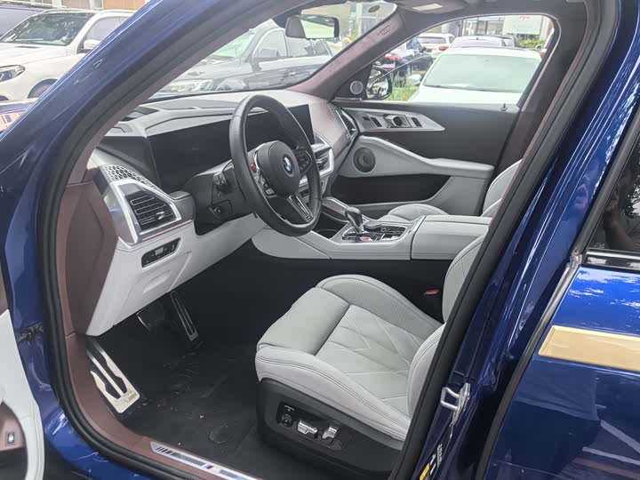 BMW XM 2023 2023款 基本型