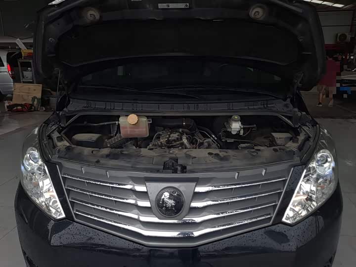 Dongfeng Forthing Lingzhi Plus 2021 2021款 2.0L 手动豪华型 7座