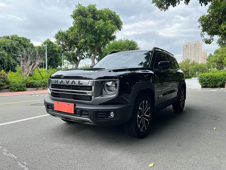 Haval Dargo 2024 2024款 1.5T DCT边牧版