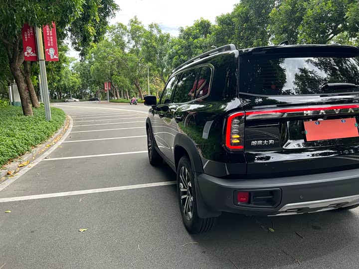 Haval Dargo 2024 2024款 1.5T DCT边牧版