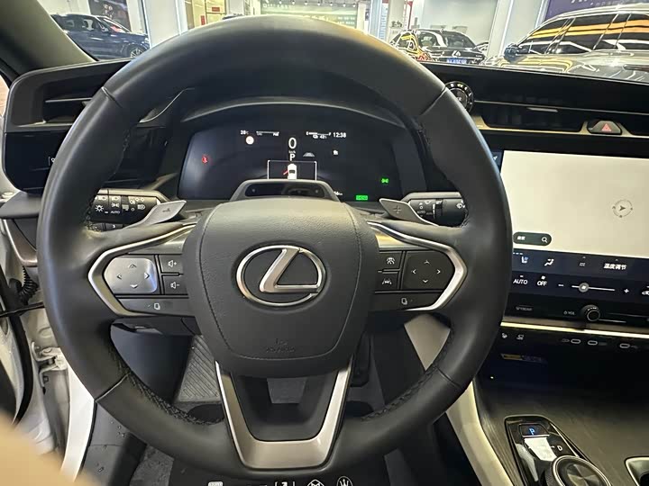 Lexus RZ 2023 2023款 450e 四驱纵领版