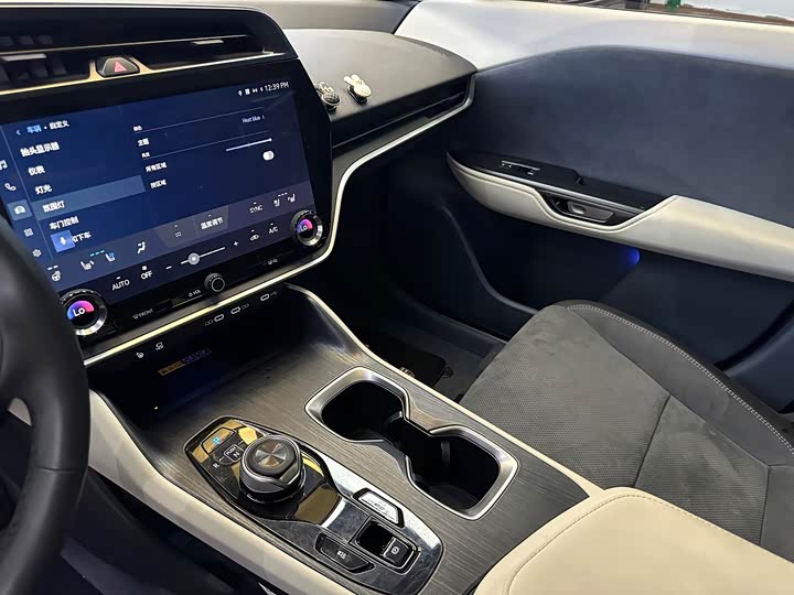 Lexus RZ 2023 2023款 450e 四驱纵领版