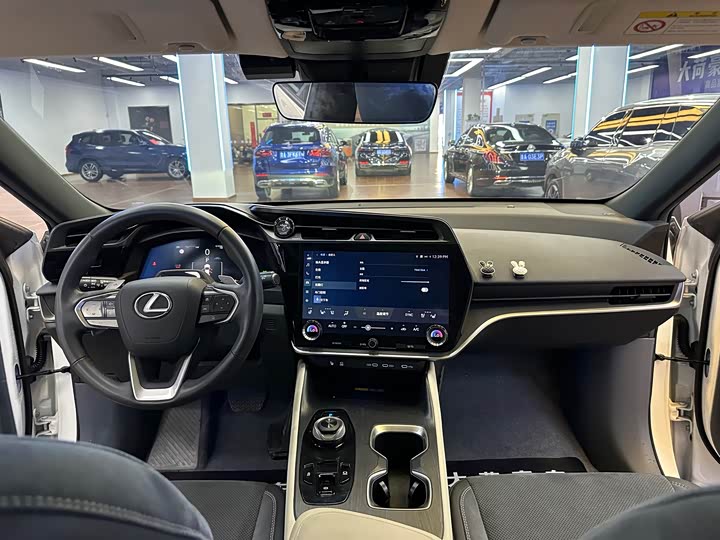 Lexus RZ 2023 2023款 450e 四驱纵领版