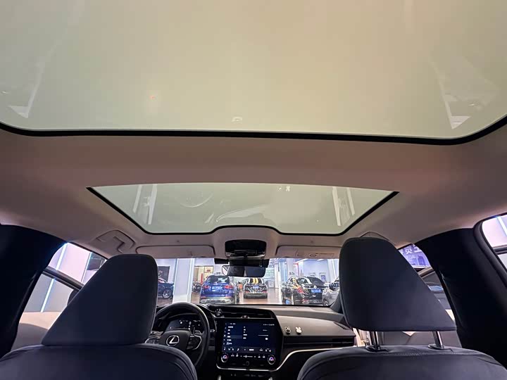 Lexus RZ 2023 2023款 450e 四驱纵领版