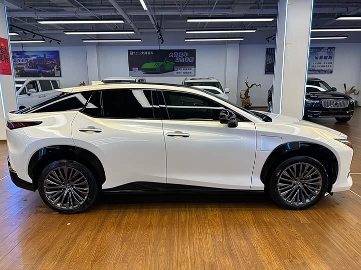 Lexus RZ 2023 2023款 450e 四驱纵领版