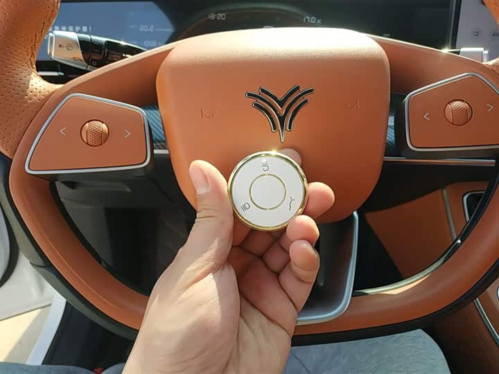 Hozon L 2024 2024款 增程 220 闪充版