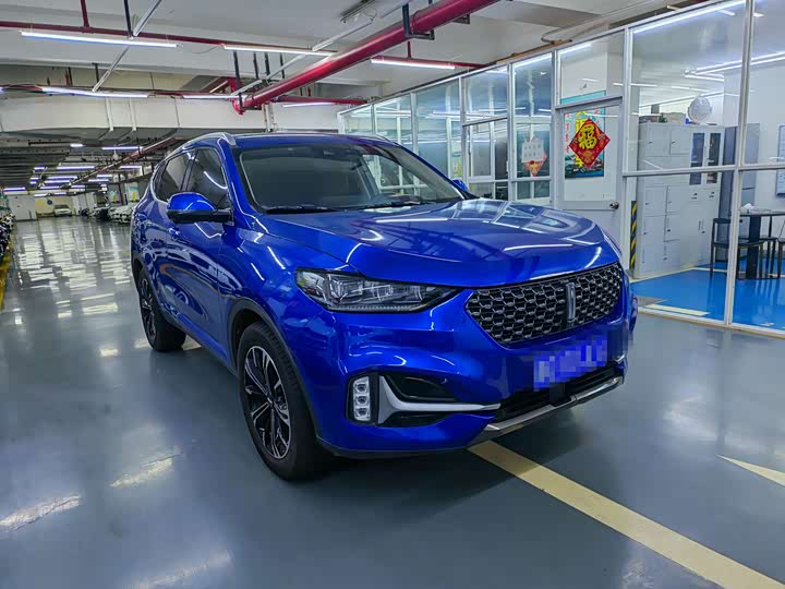 Wey VV6 2021 2021款 2.0T 两驱智护+