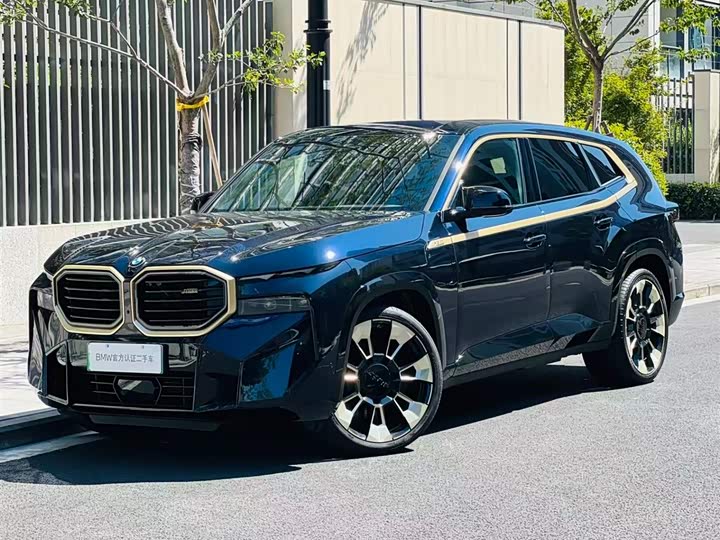BMW XM 2023 2023款 基本型