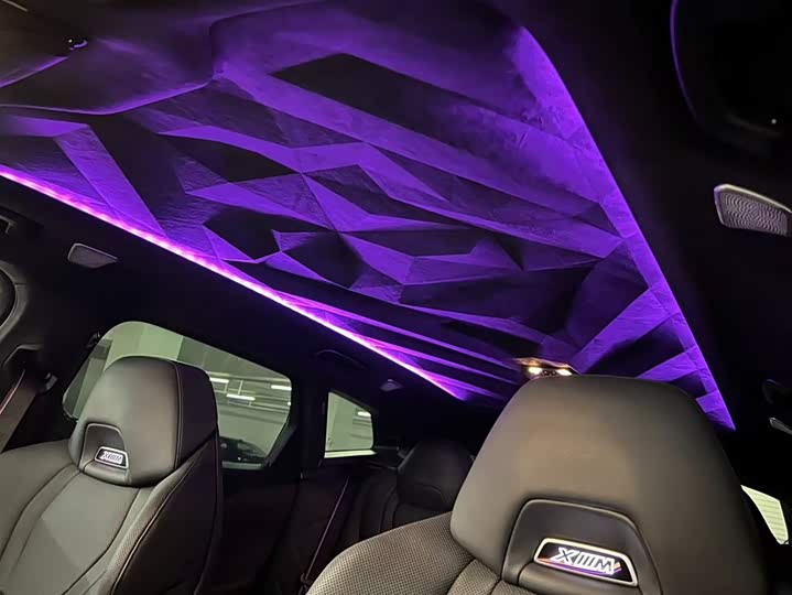 BMW XM 2023 2023款 基本型