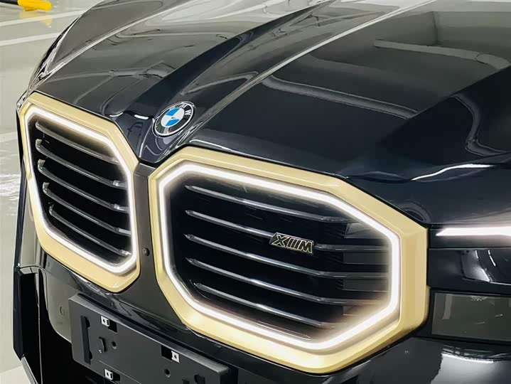 BMW XM 2023 2023款 基本型