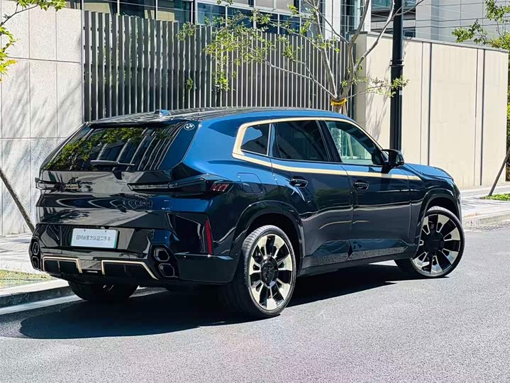 BMW XM 2023 2023款 基本型