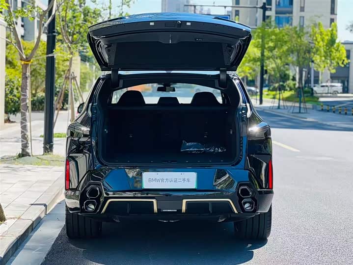 BMW XM 2023 2023款 基本型