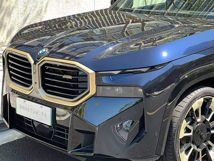 BMW XM 2023 2023款 基本型