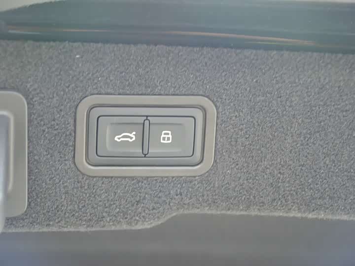 Audi A8 2025 2025款 A8L 45 TFSI quattro 豪华型