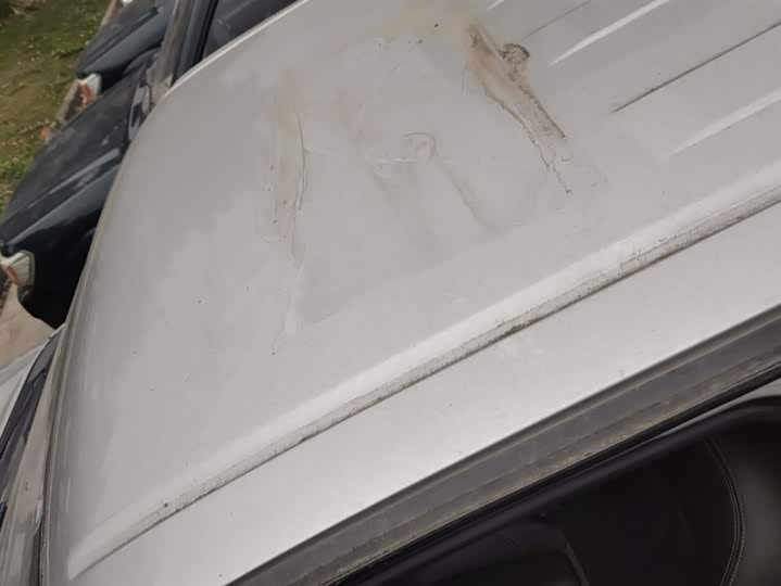 Dongfeng Rich 2021 2021款 2.4L汽油两驱创业版基型车2TZD