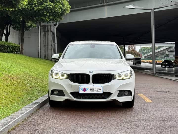BMW 3 Series GT 2020 2020款 320i M运动套装