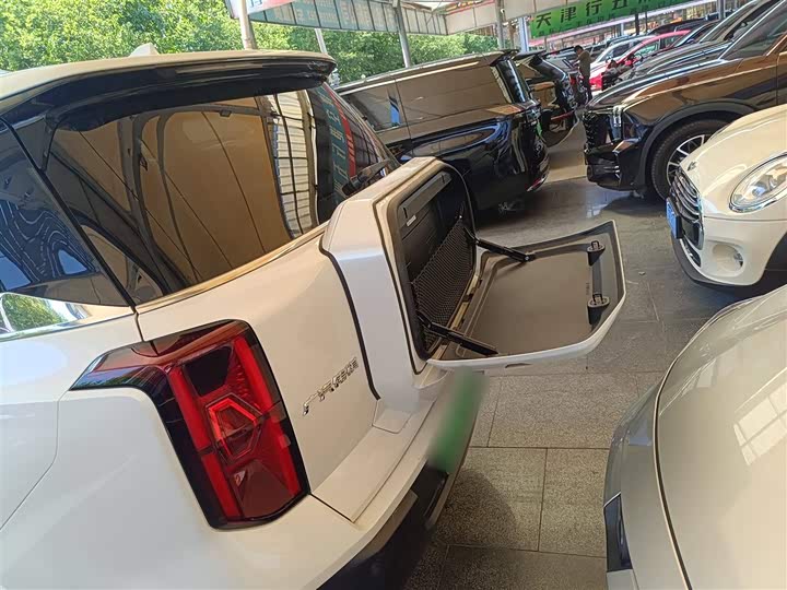 GAC Trumpchi ES9 2024 2024款 PHEV 143km 旅行者 Max