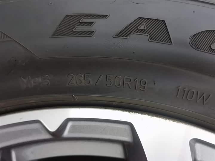 Maserati Levante 2022 2022款 2.0T GT锋芒版