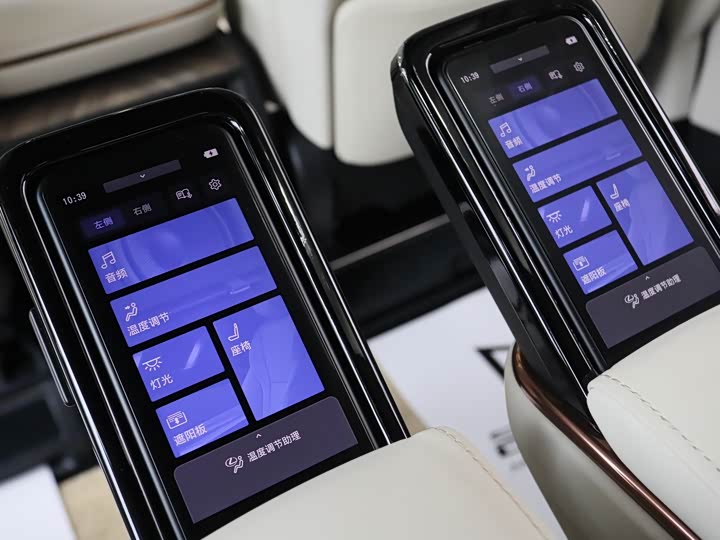 Lexus LM 2023 2023款 500h 六座尊崇版