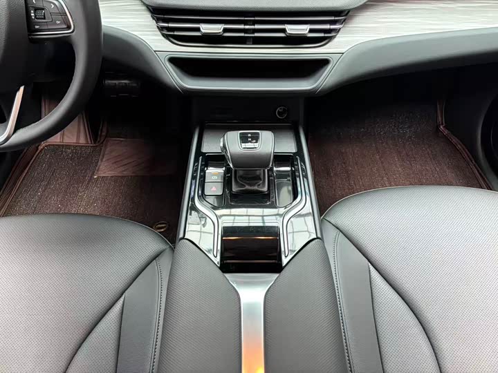 Hongqi E-QM5 2024 2024款 610km PLUS