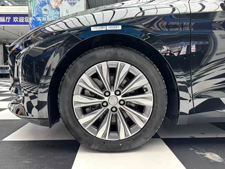 Hongqi E-QM5 2024 2024款 610km PLUS