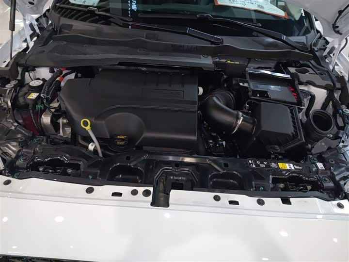 Jaguar E-Pace 2024 2024款 耀黑运动版 R-DYNAMIC SE BLACK