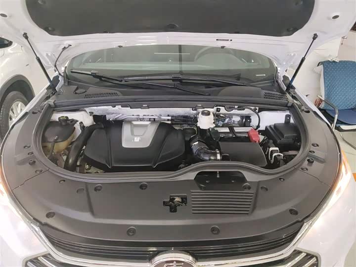 BYD Tang 2021 2021款 2.0T 自动旗舰型